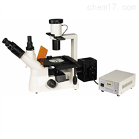 FM-403Y倒置荧光显微镜
